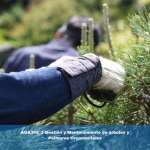 AGA348_3 Gestión y Mantenimiento de árboles y Palmeras Ornamentales