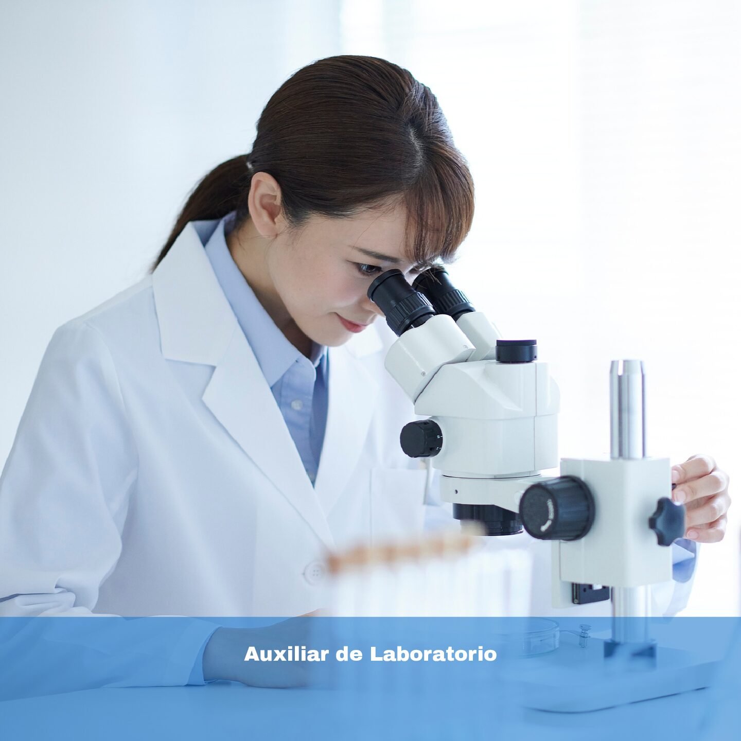 Auxiliar de Laboratorio