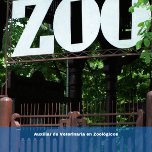 Auxiliar de Veterinaria en Zoológicos