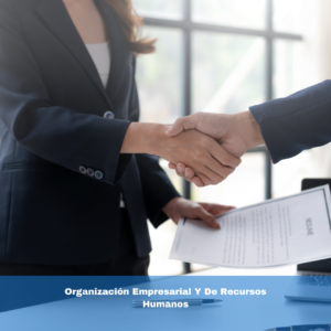 Organización Empresarial Y De Recursos Humanos