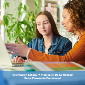 Orientación Laboral Y Promoción De La Calidad En La Formación Profesional