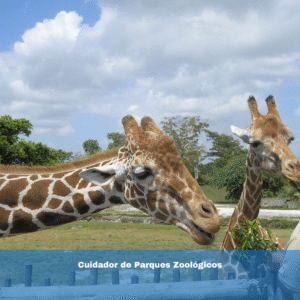 Cuidador de Parques Zoológicos