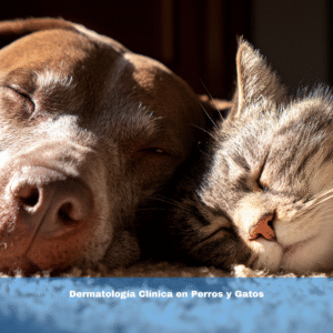 Dermatología Clínica en Perros y Gatos