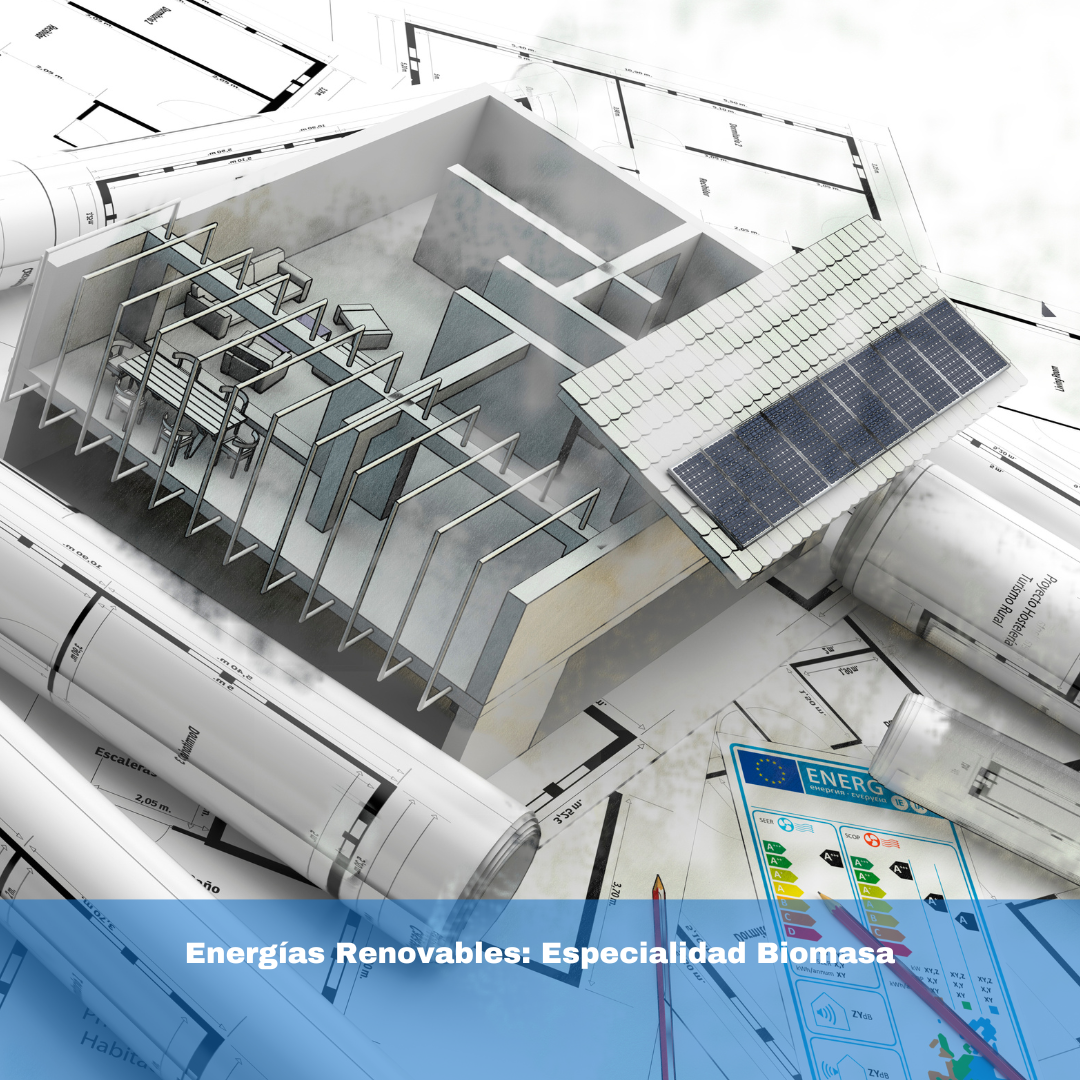 Energías Renovables: Especialidad Biomasa