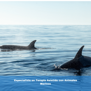 Especialista en Terapia Asistida con Animales Marinos