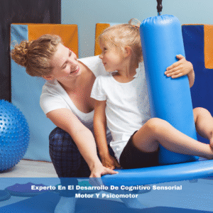 Experto En El Desarrollo De Cognitivo Sensorial Motor Y Psicomotor