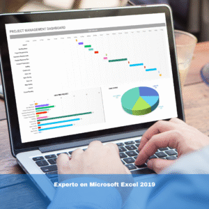 Experto en Microsoft Excel 2019
