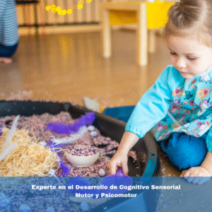 Experto en el Desarrollo de Cognitivo Sensorial Motor y Psicomotor