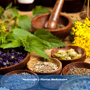 Herbología y Plantas Medicinales