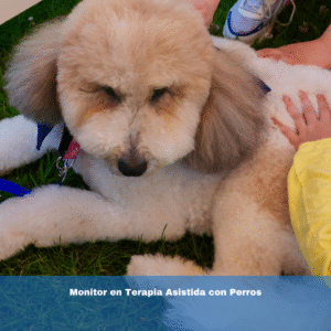 Monitor en Terapia Asistida con Perros