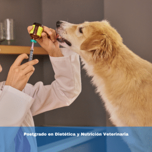 Postgrado en Dietética y Nutrición Veterinaria