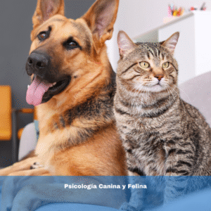 Psicología Canina y Felina