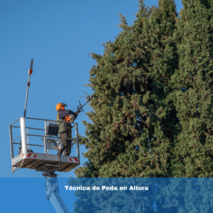 Técnica de Poda en Altura