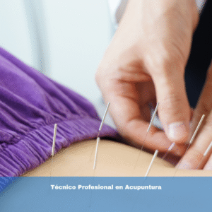 Técnico Profesional en Acupuntura