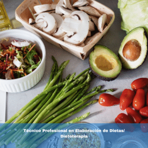 Técnico Profesional en Elaboración de Dietas/ Dietoterapia