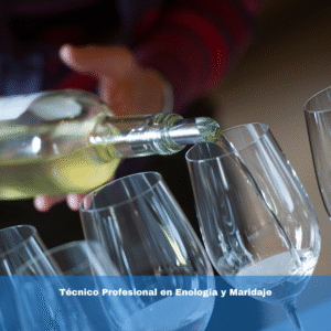 Técnico Profesional en Enología y Maridaje
