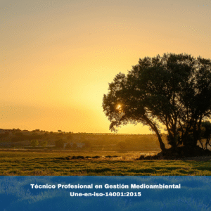 Técnico Profesional en Gestión Medioambiental Une-en-iso-14001:2015
