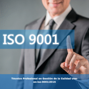 Técnico Profesional en Gestión de la Calidad Une-en-iso-9001:2015