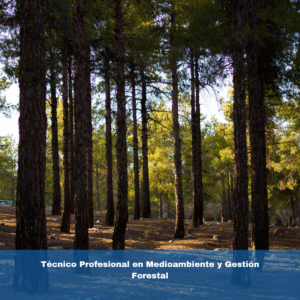 Técnico Profesional en Medioambiente y Gestión Forestal