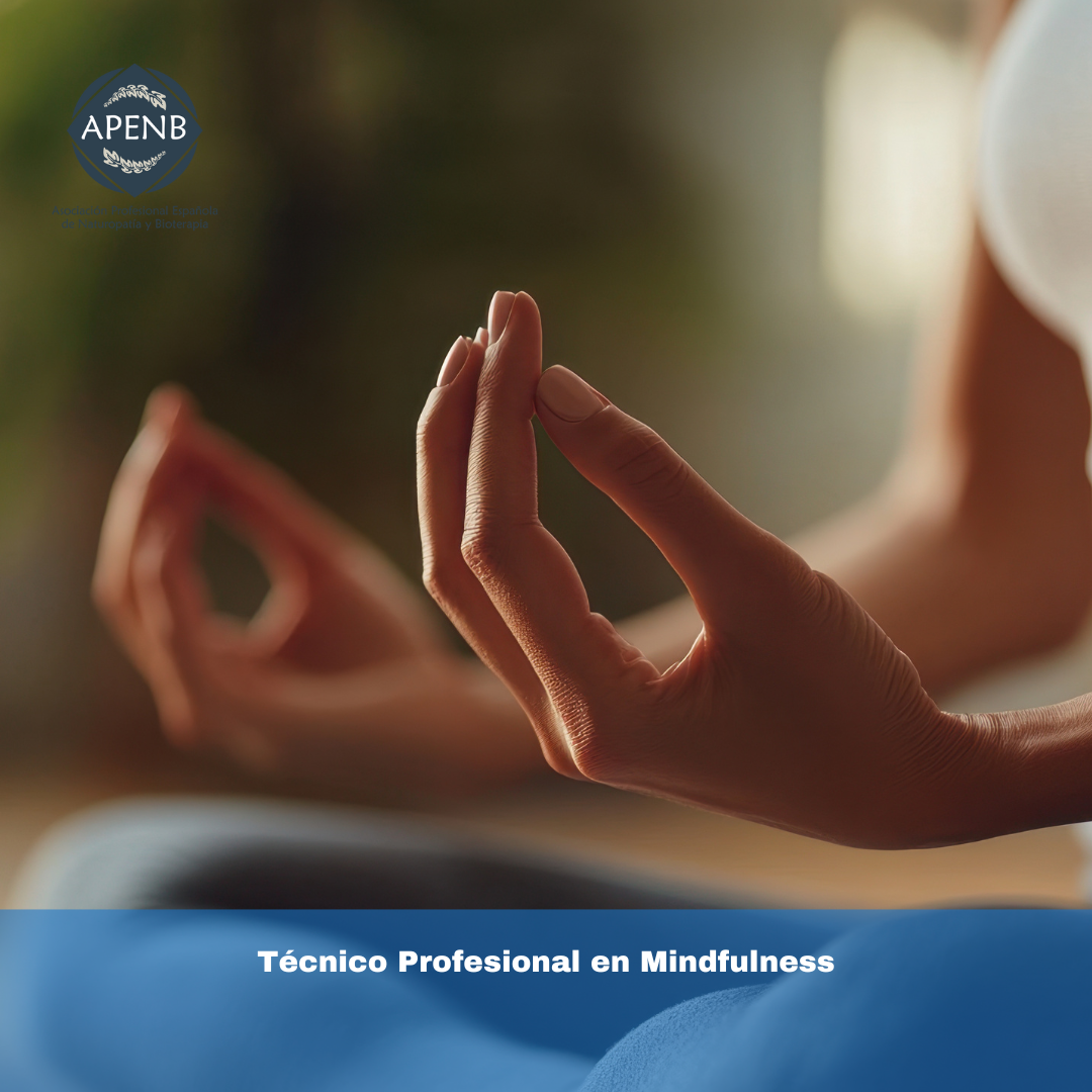 Técnico Profesional en Mindfulness