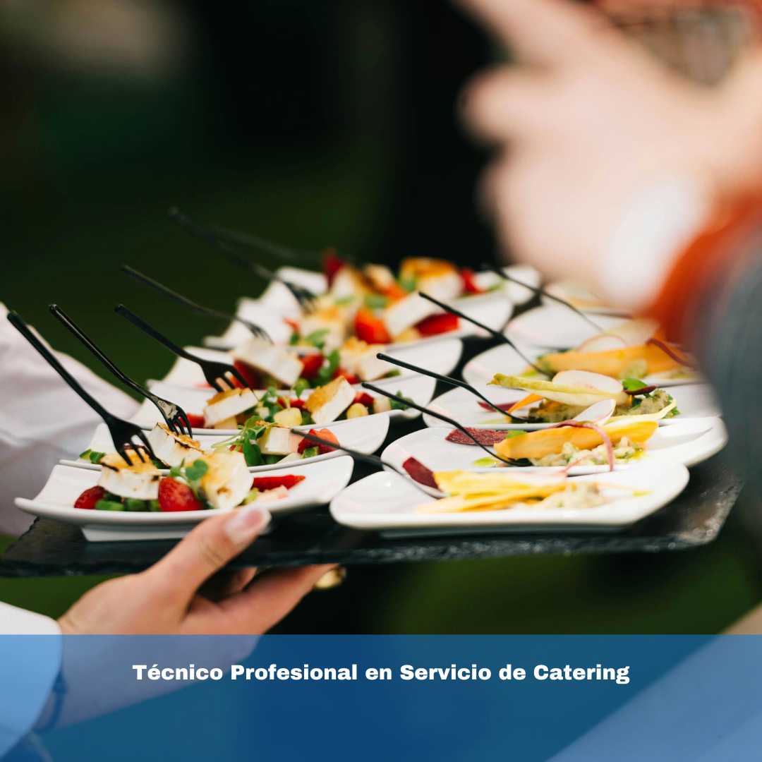 Técnico Profesional en Servicio de Catering