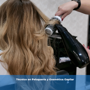 Técnico en Peluquería y Cosmética Capilar