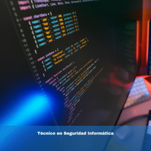 Técnico en Seguridad Informática