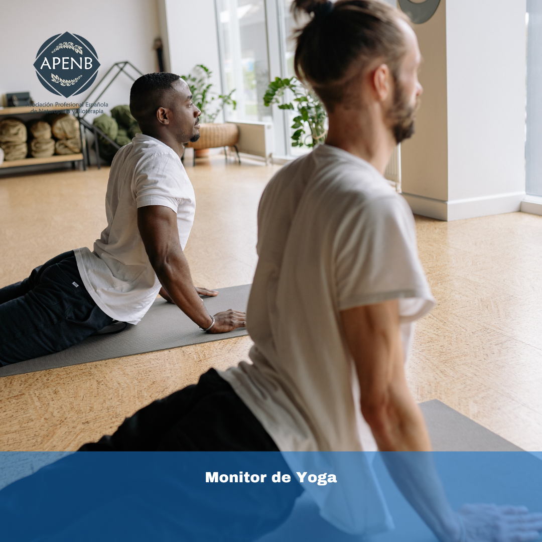 Monitor de Yoga