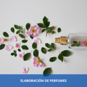 Elaboracion De Perfumes