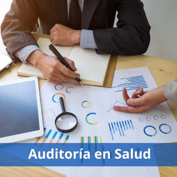 Auditoria En Salud