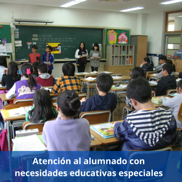 Atención Al Alumnado Con Necesidades Educativas Especiales