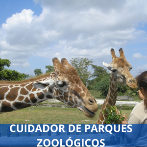 Cuidador De Parques Zoológicos