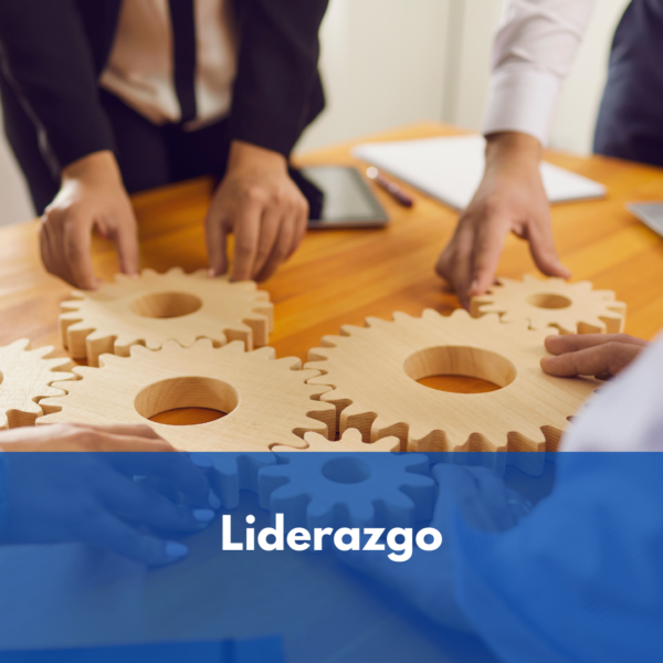 Liderazgo