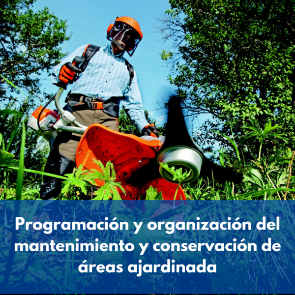 Programación Y Organización Del Mantenimiento Y Conservación De áreas Ajardinada