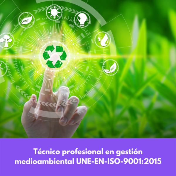 Técnico Profesional En Gestión De La Calidad Une-en-iso-9001:2015