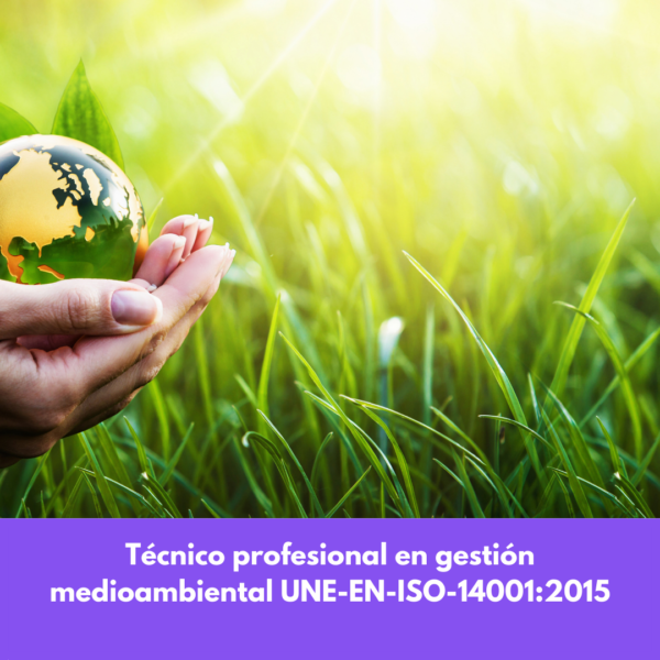 Técnico Profesional En Gestión Medioambiental Une-en-iso-14001:2015