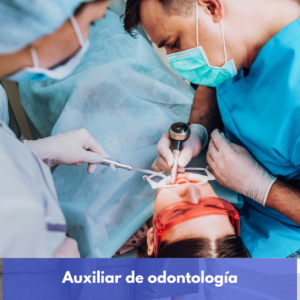 Auxiliar De Odontología