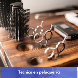 Técnico En Peluquería