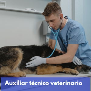 Ayudante Técnico Veterinario (a.t.v.)