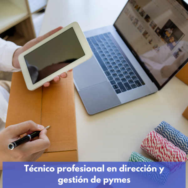 Técnico Profesional En Dirección Y Gestión De Pymes