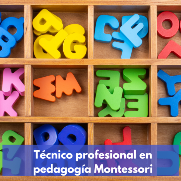 Técnico Profesional En Pedagogía Montessori