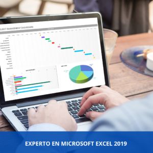 Experto En Microsoft Excel 2019