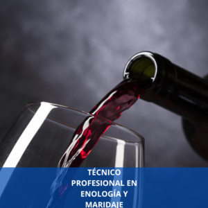 TÉCNICO PROFESIONAL EN ENOLOGÍA Y MARIDAJE