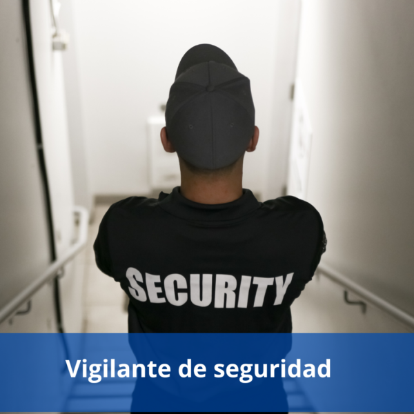 Temario Vigilante De Seguridad