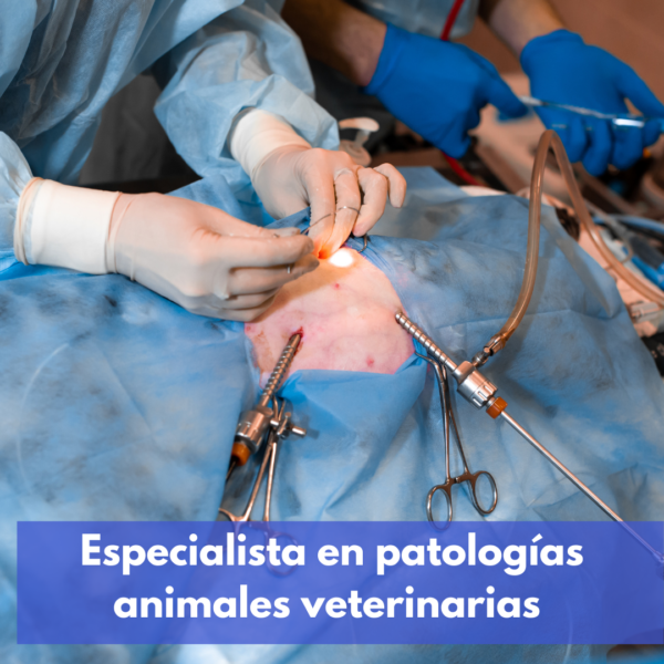 Especialista En Patologías Animales Veterinarias