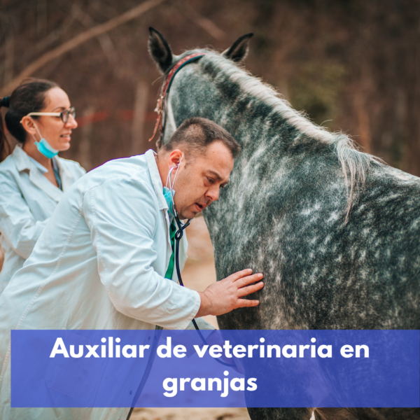 Auxiliar De Veterinaria En Granjas