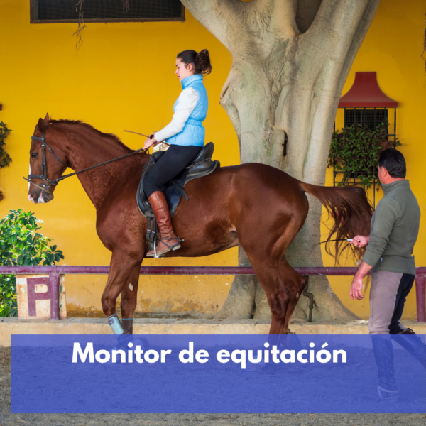 Monitor De Equitación