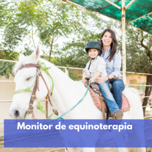 Monitor De Equinoterapia