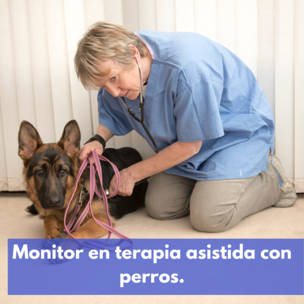 Monitor En Terapia Asistida Con Perros.