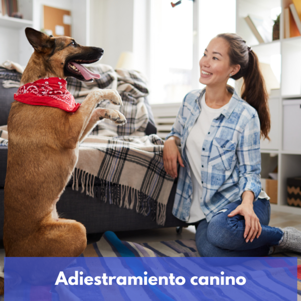 Adiestramiento Canino